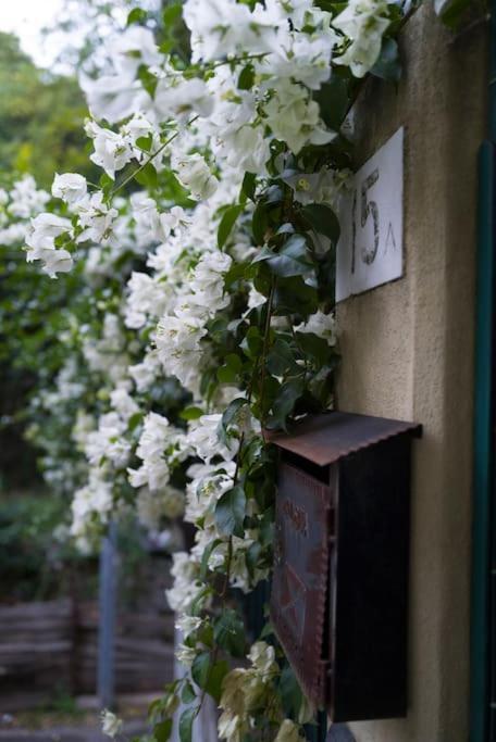 Genova Garden, Vicino Al Gaslini E Boccadasse Génova Exterior foto